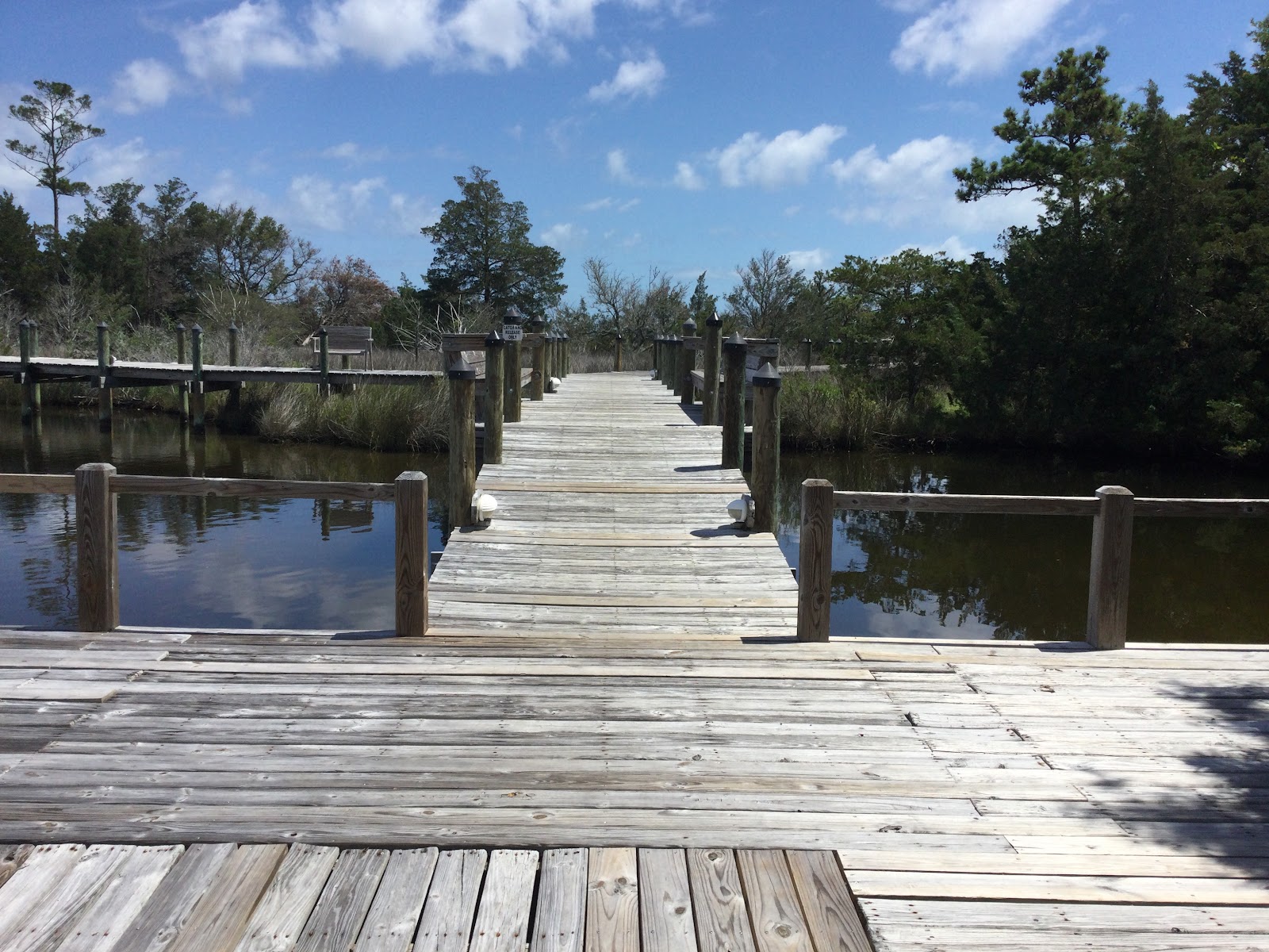 The Refuge on Roanoke Island