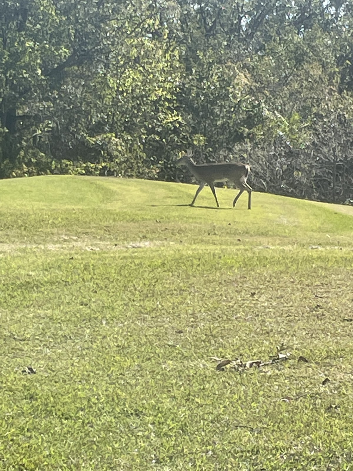 Eagle Crest Golf Course