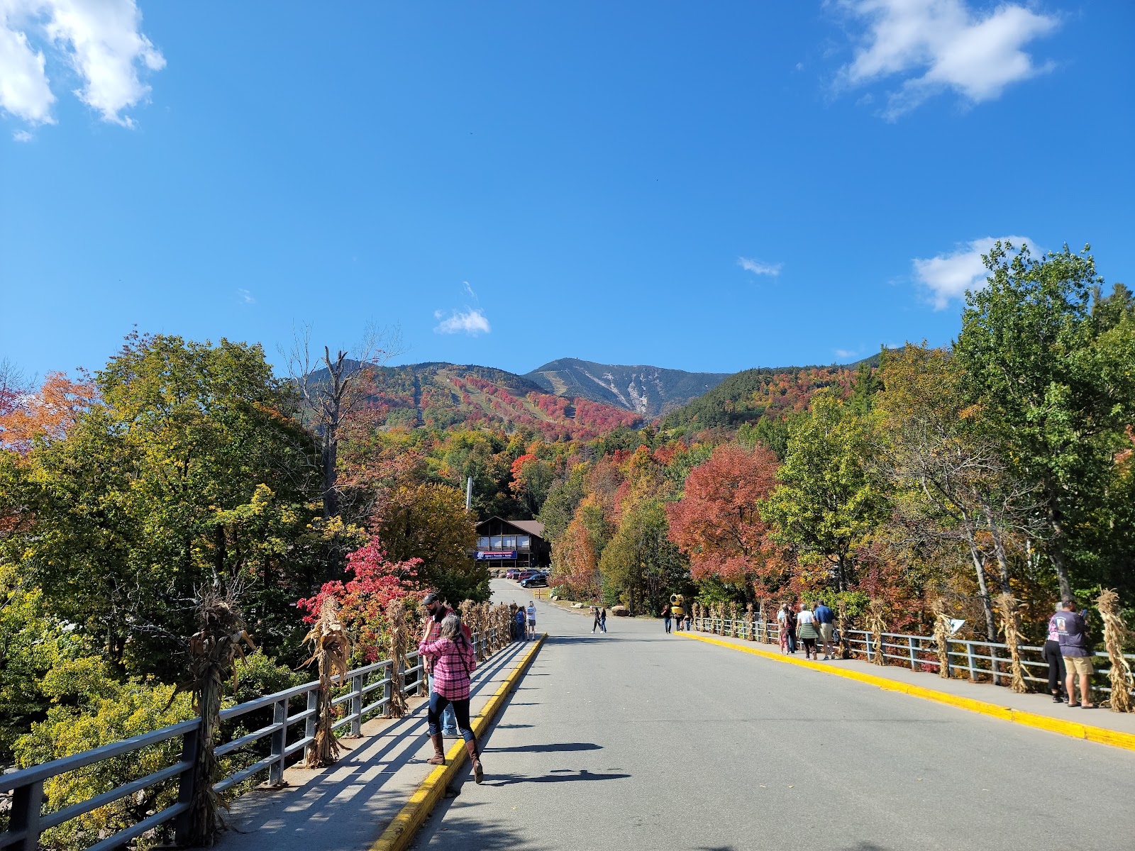 Wilmington Notch Adirondack Preserve