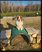 Hidden Hollow RV Park