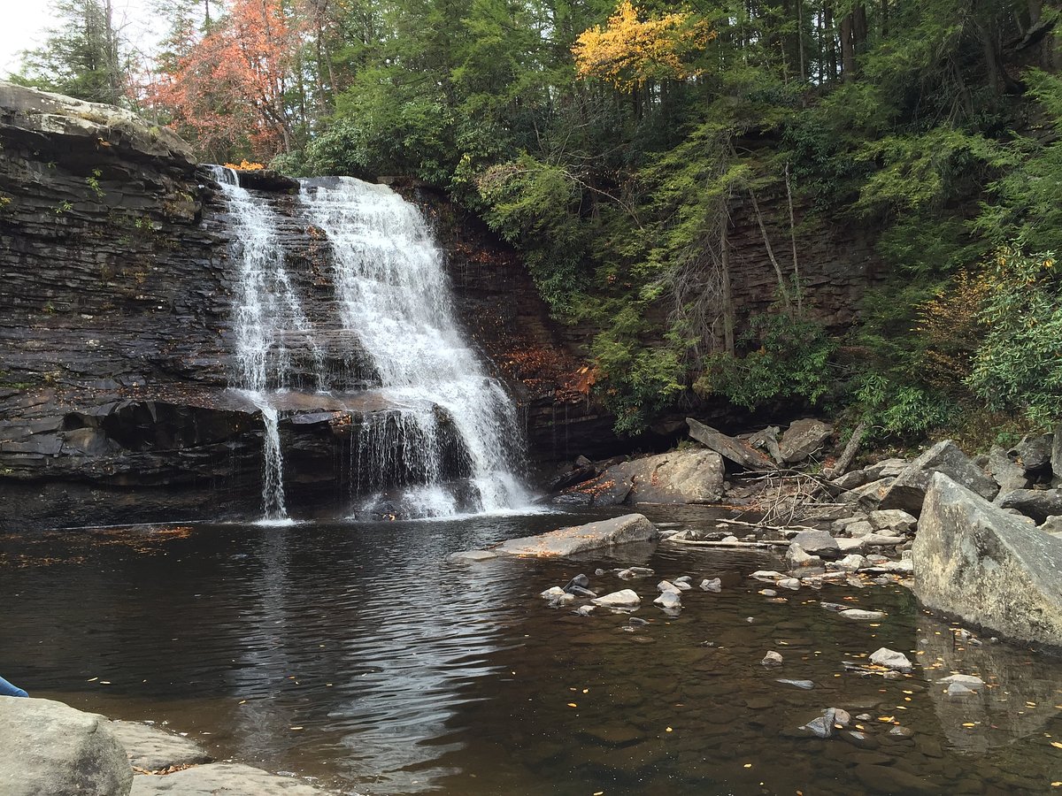 Swallow Falls State Park