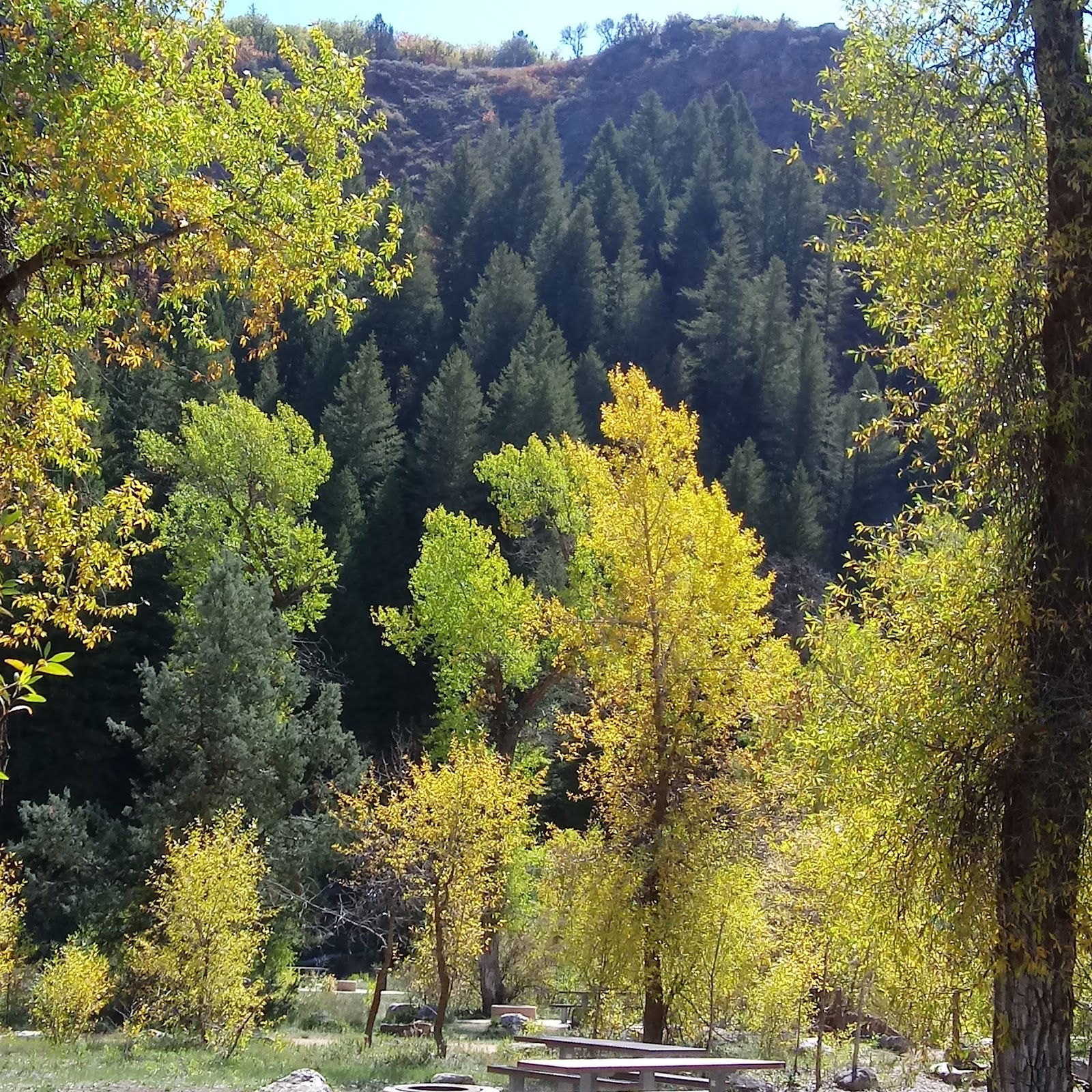 South Fork Campground