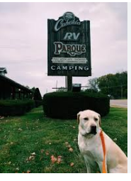 MGM Lakeside Campground