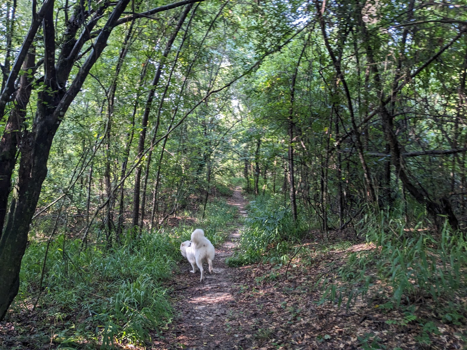 Fairley Bridge Landing