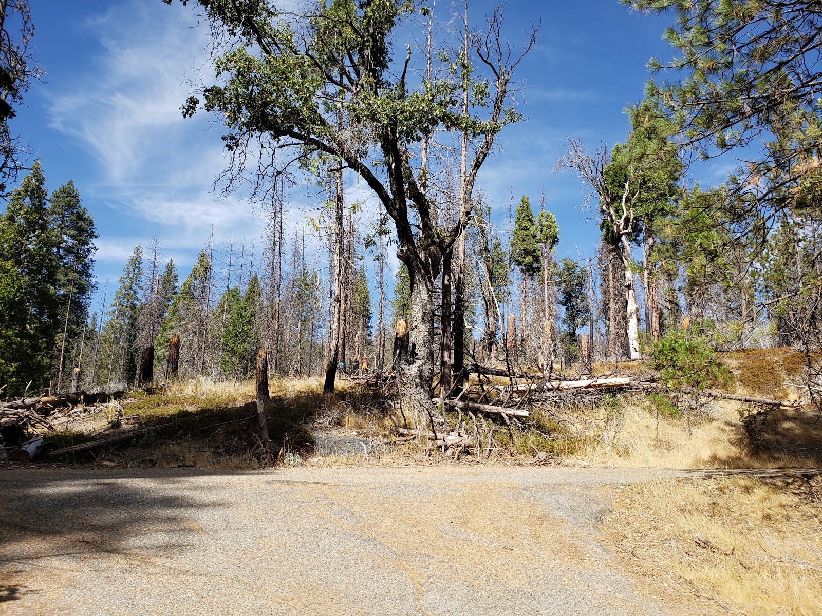 Rock Creek Campground