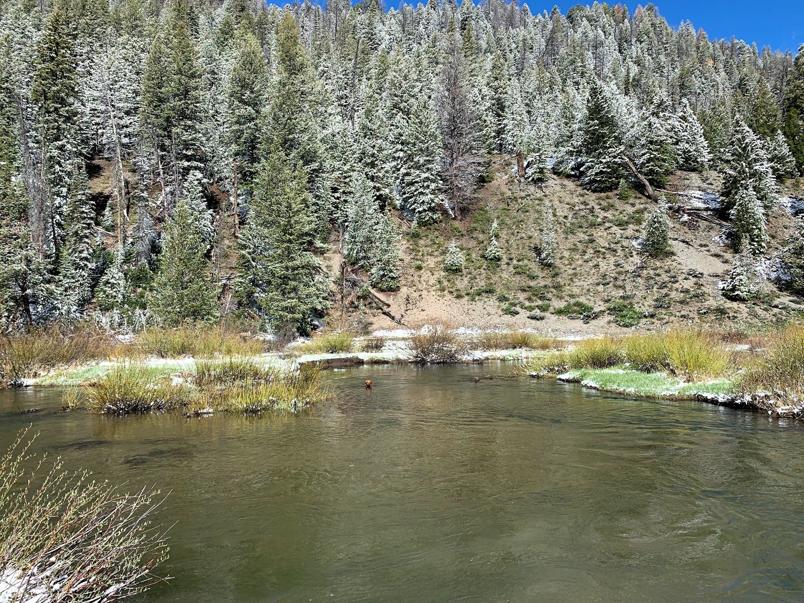 Chemeketan Campground