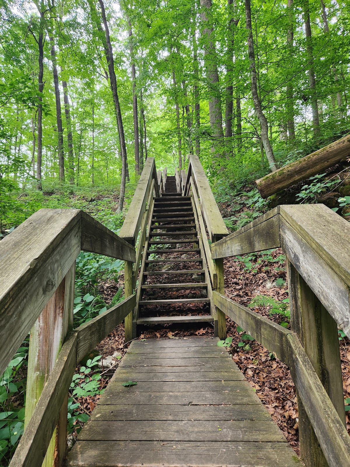 McCormick's Creek State Park