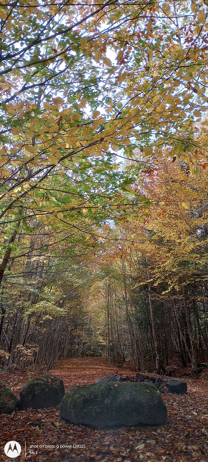 Cherry Mountain Trailhead