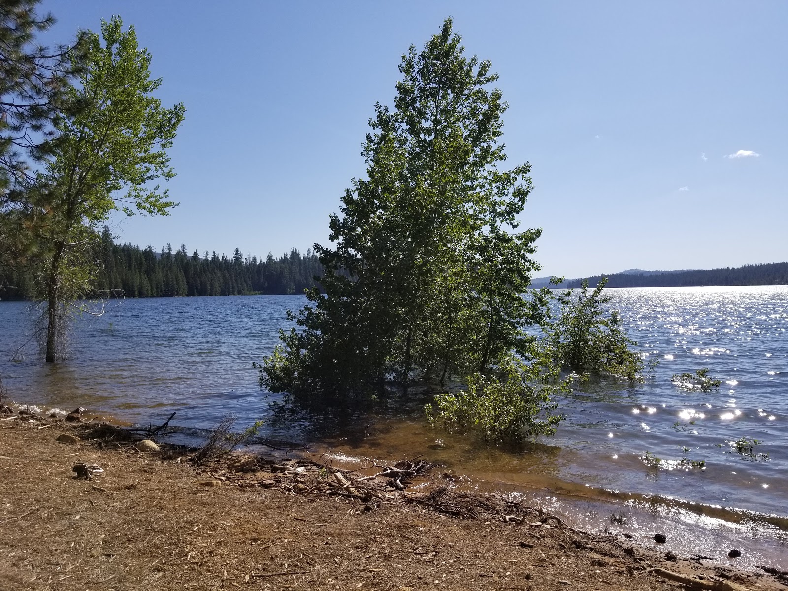 Azalea Cove Campground