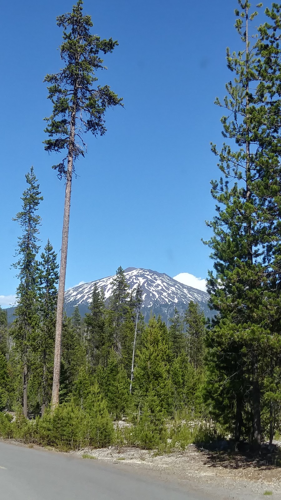 Little Fawn Campground