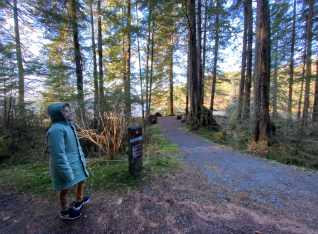 Starrigavan NF Campground