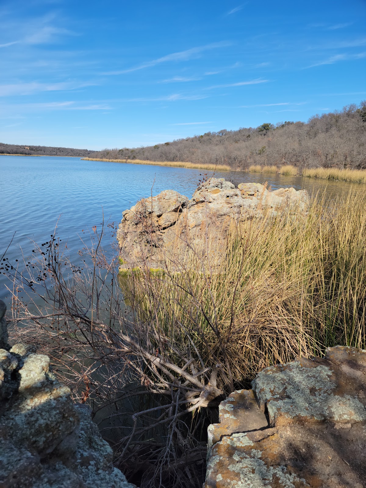 Live Oak - Lake Mineral Wells State Park