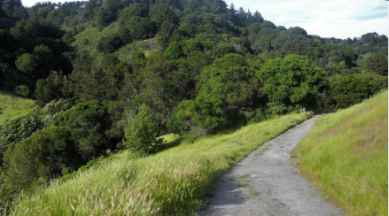 Redwood Regional Park - Skyline Gate