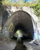 Salmon Creek Trailhead
