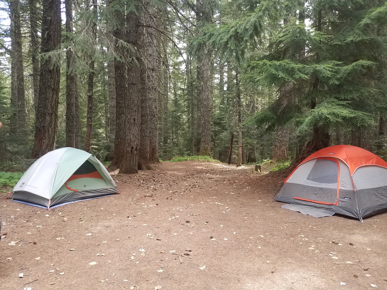 Falls Creek Horse Camp