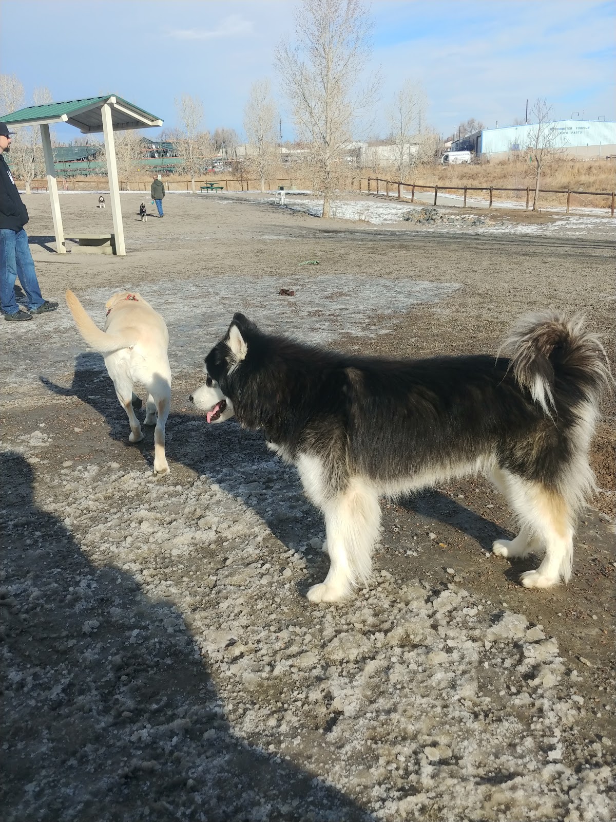 Little Dry Creek Dog Park