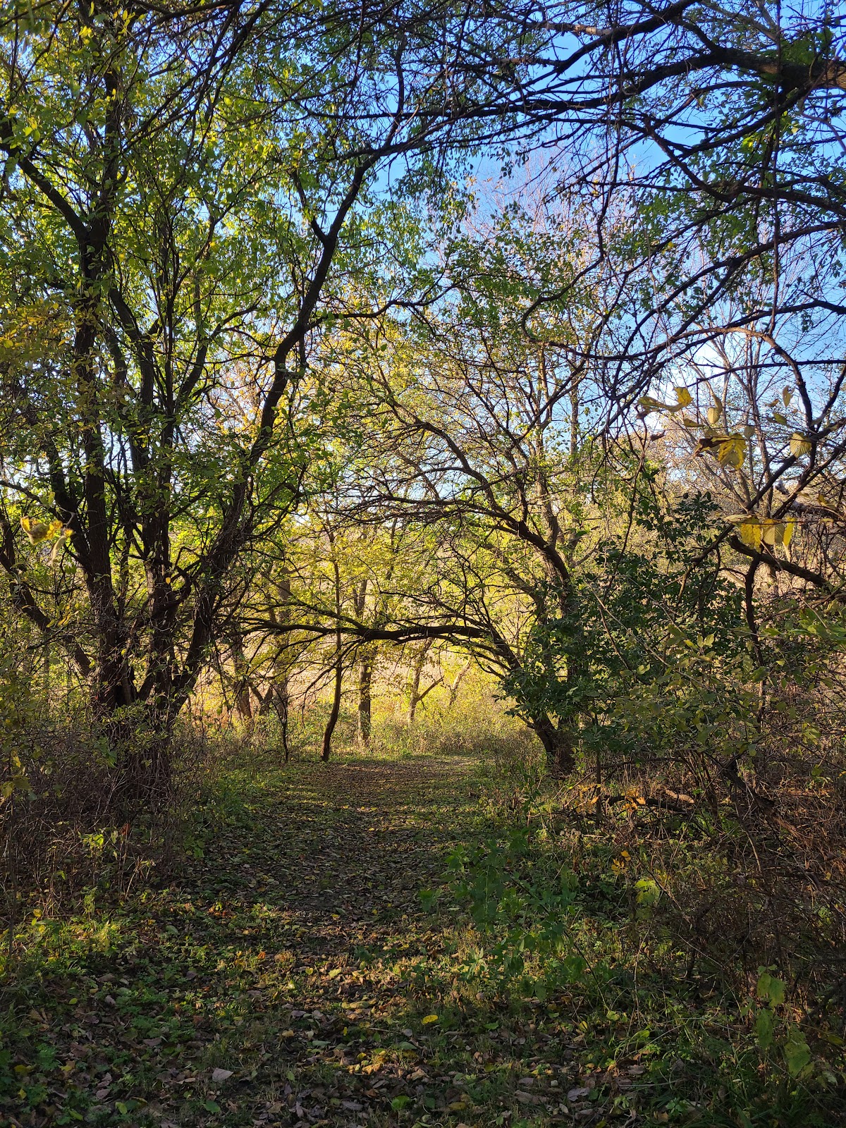 Schaben County Park