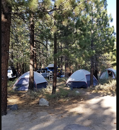 New Shady Rest Campground