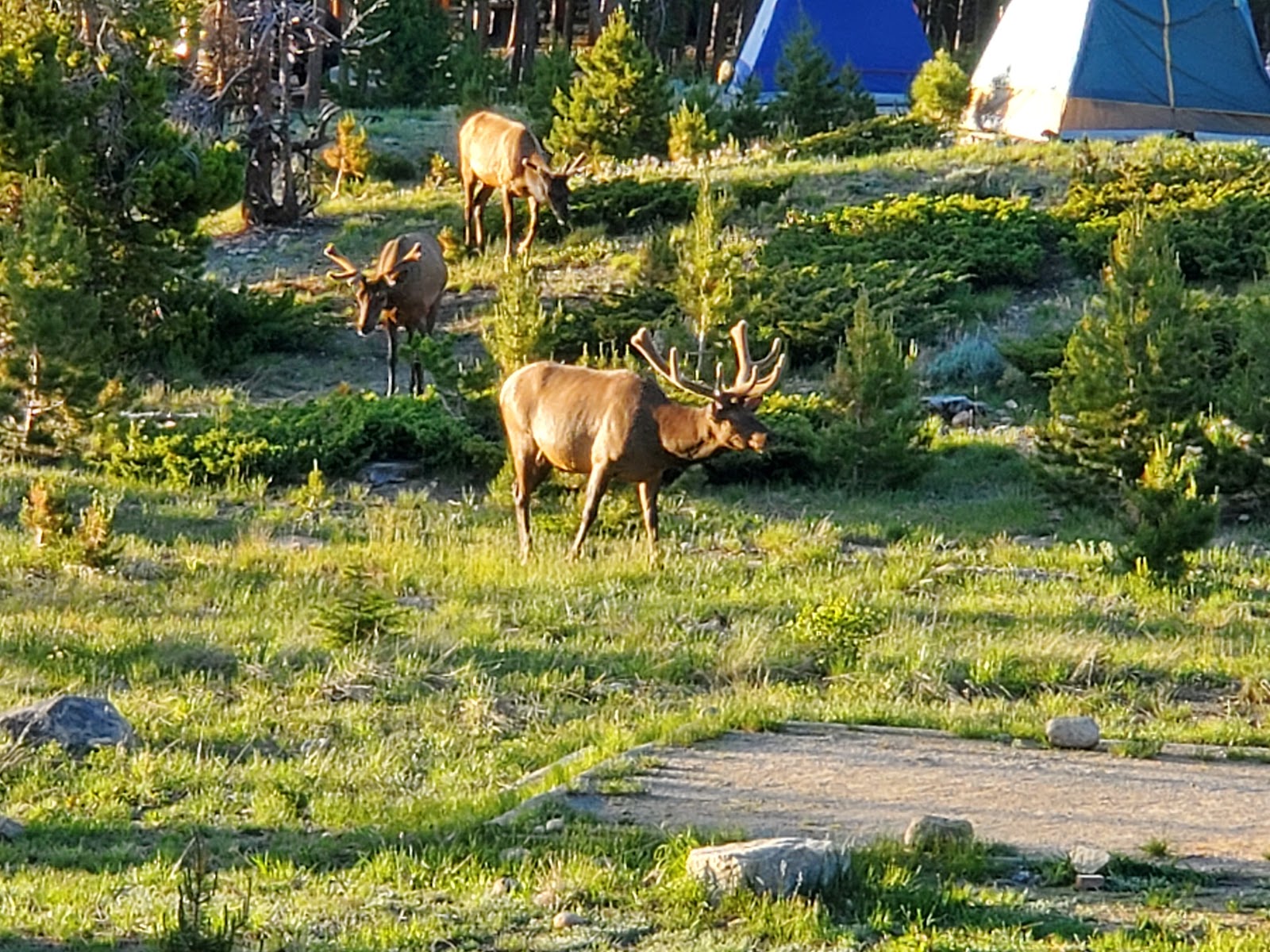 Glacier Basin - Rocky Mountain National Park