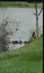 Oyster Creek RV Ranch