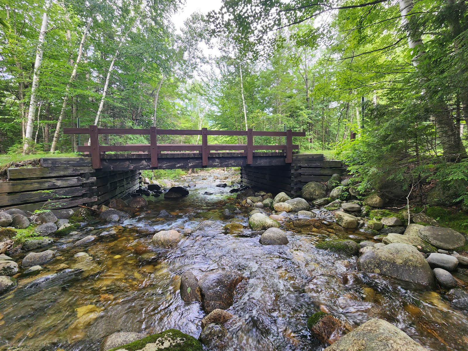 Dolly Copp Campground