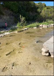 Dinosaur Valley State Park