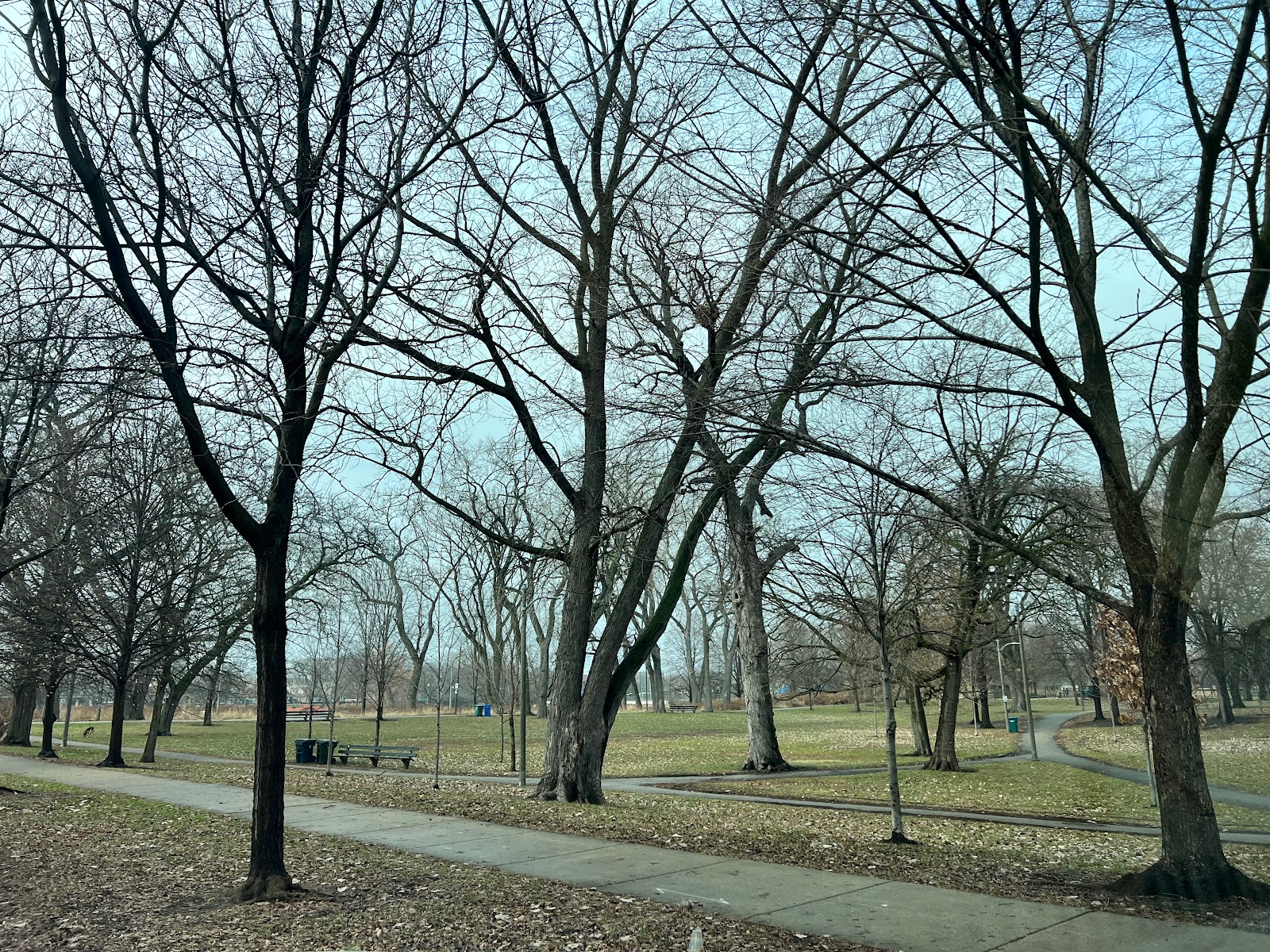 Chicago Park District - River Park