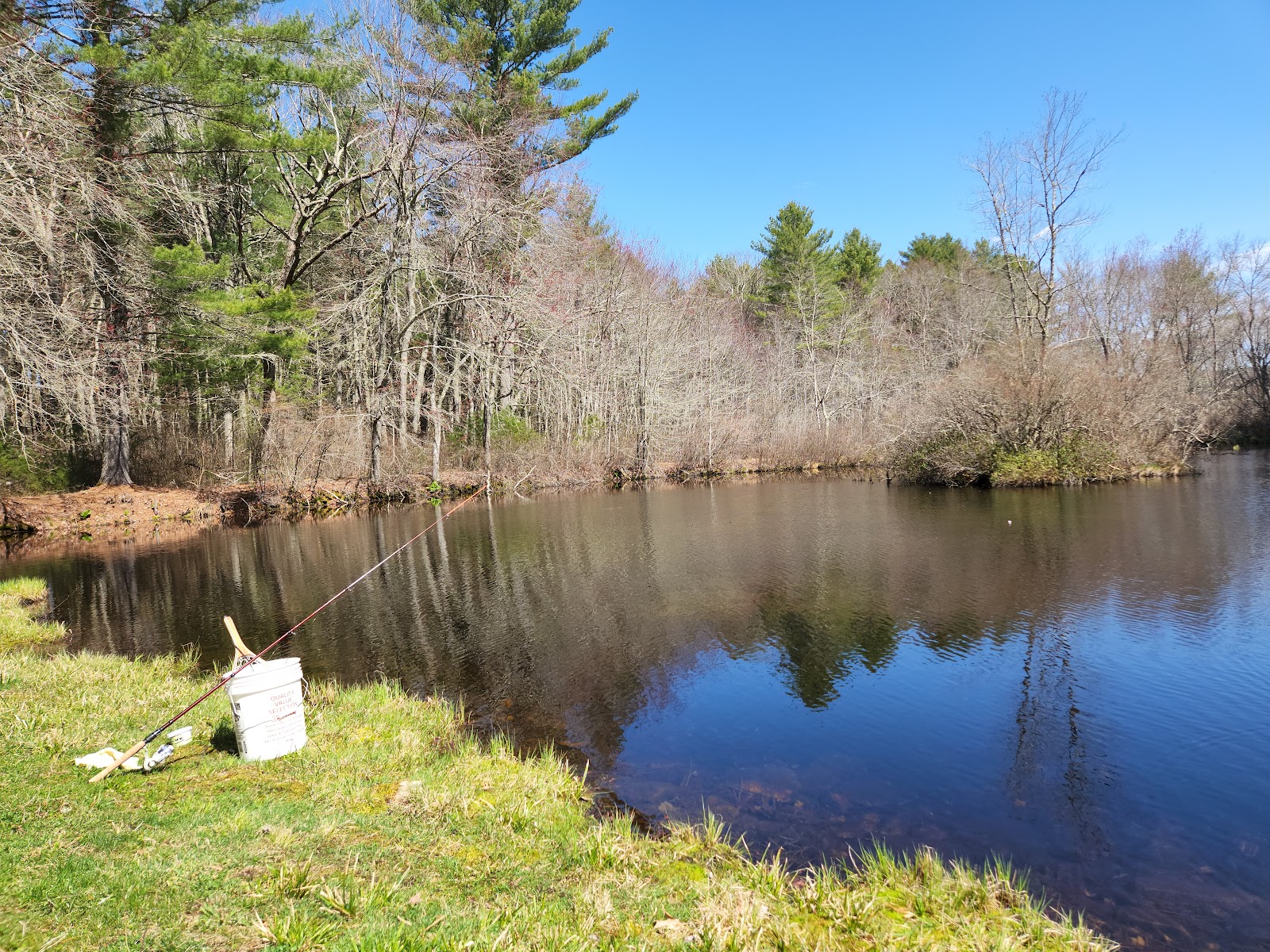 Pachaug State Forest