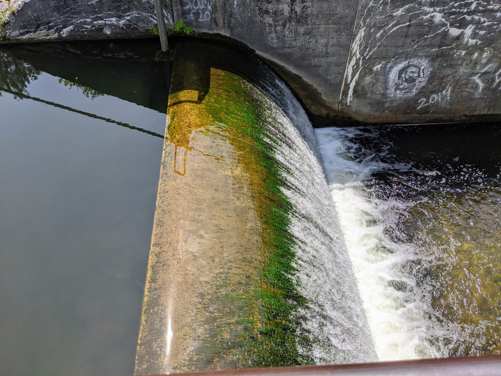 Minnie Pond Campground