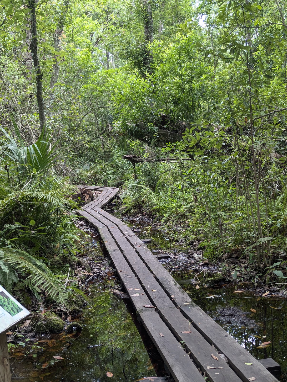 Lake Griffin State Park