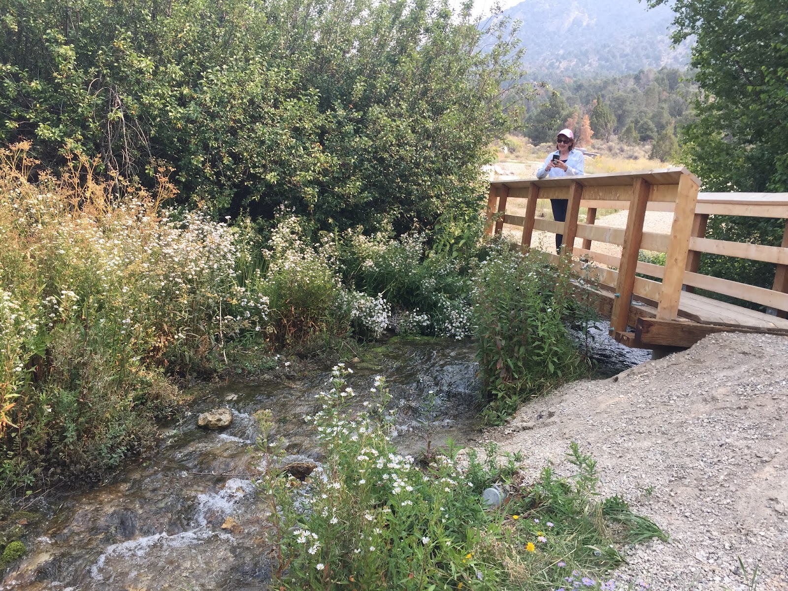 Bird Creek Recreation Area