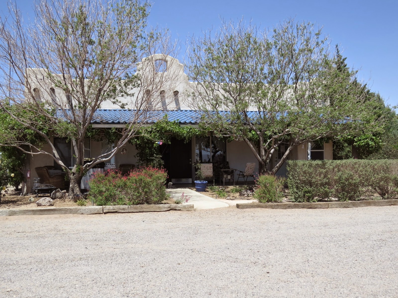 Caballos de las Estrellas