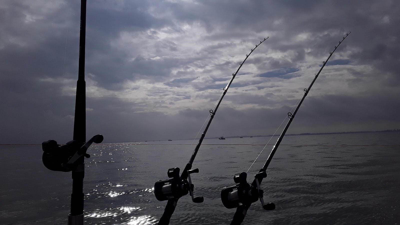 Turtle Creek Marina & Campground