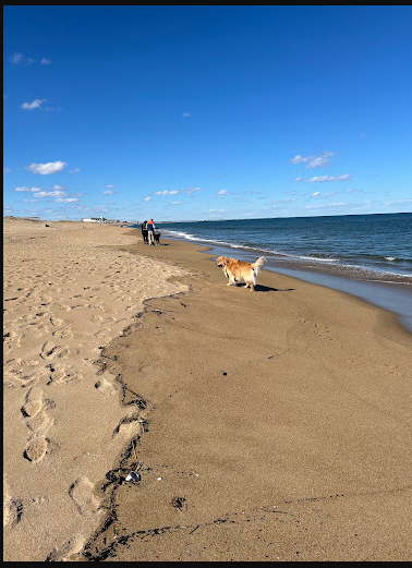 Salisbury Beach State Reservation