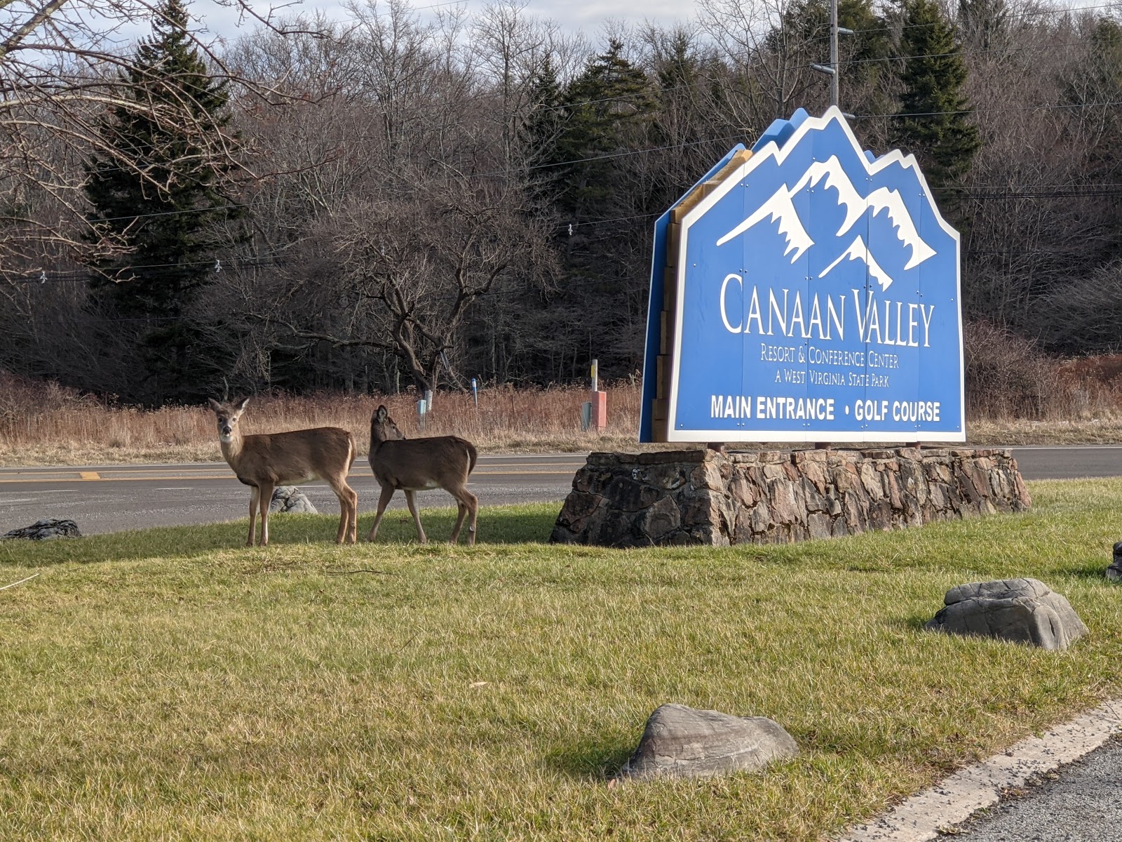 Canaan Valley Resort State Park