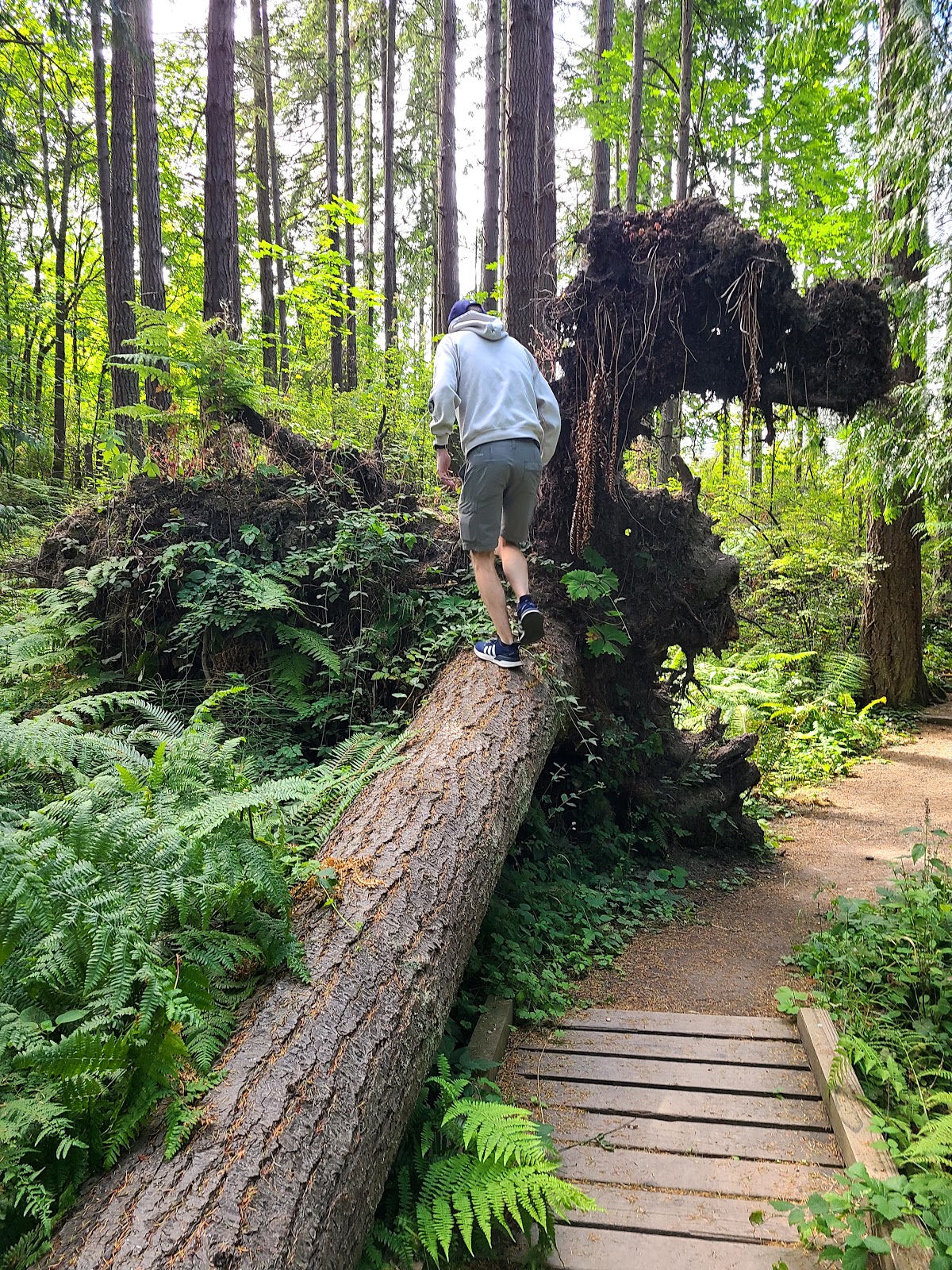 Olympic National Park