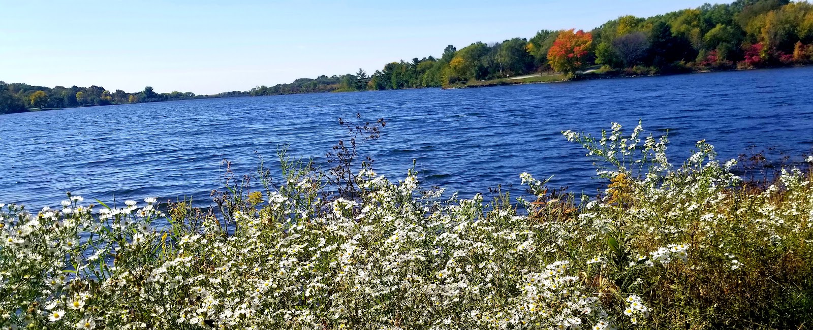 East - Prairie Rose State Park