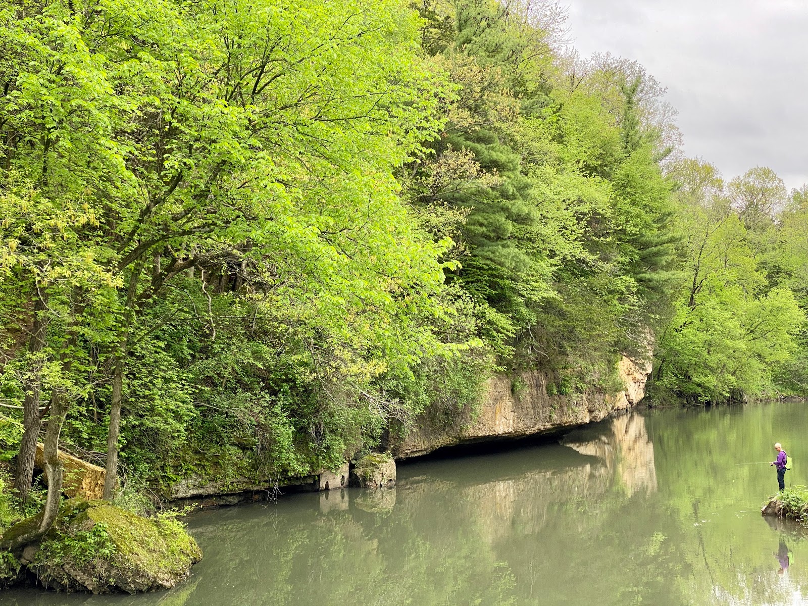 White Pines Forest State Park