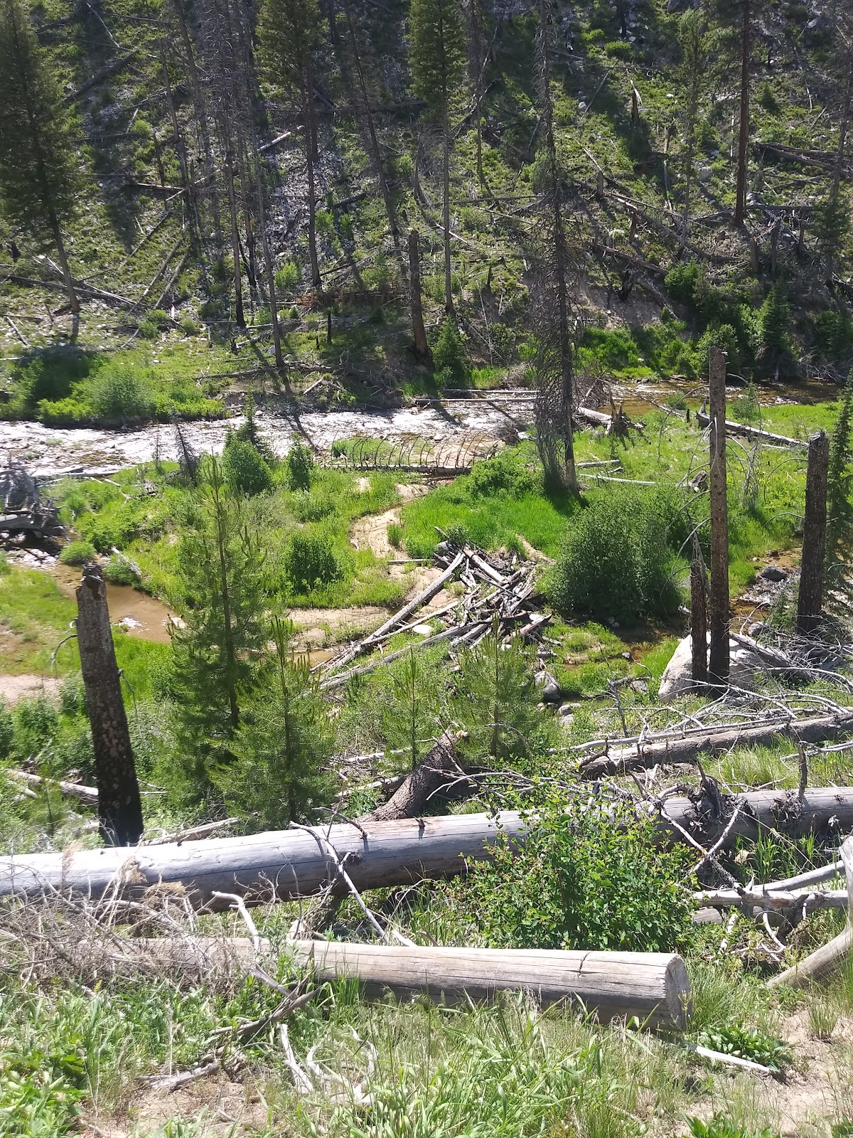 Stolle Meadows Cabin
