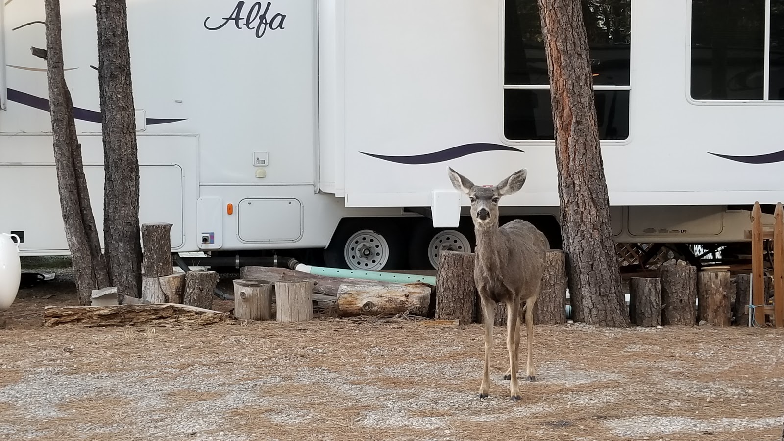 Halls Hideaway RV Park