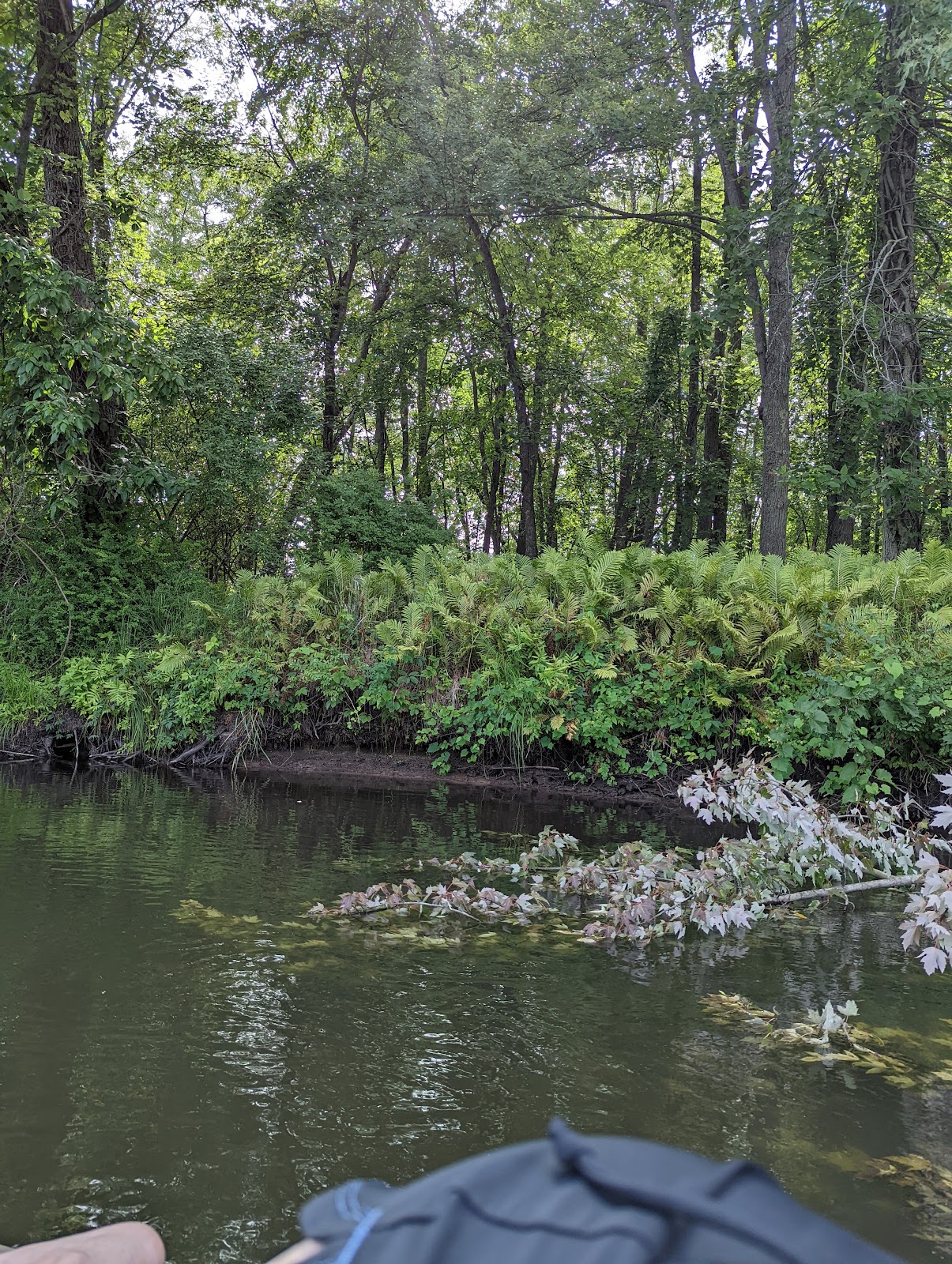 Scottsville Riverside Park