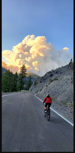 Markleeville Campground