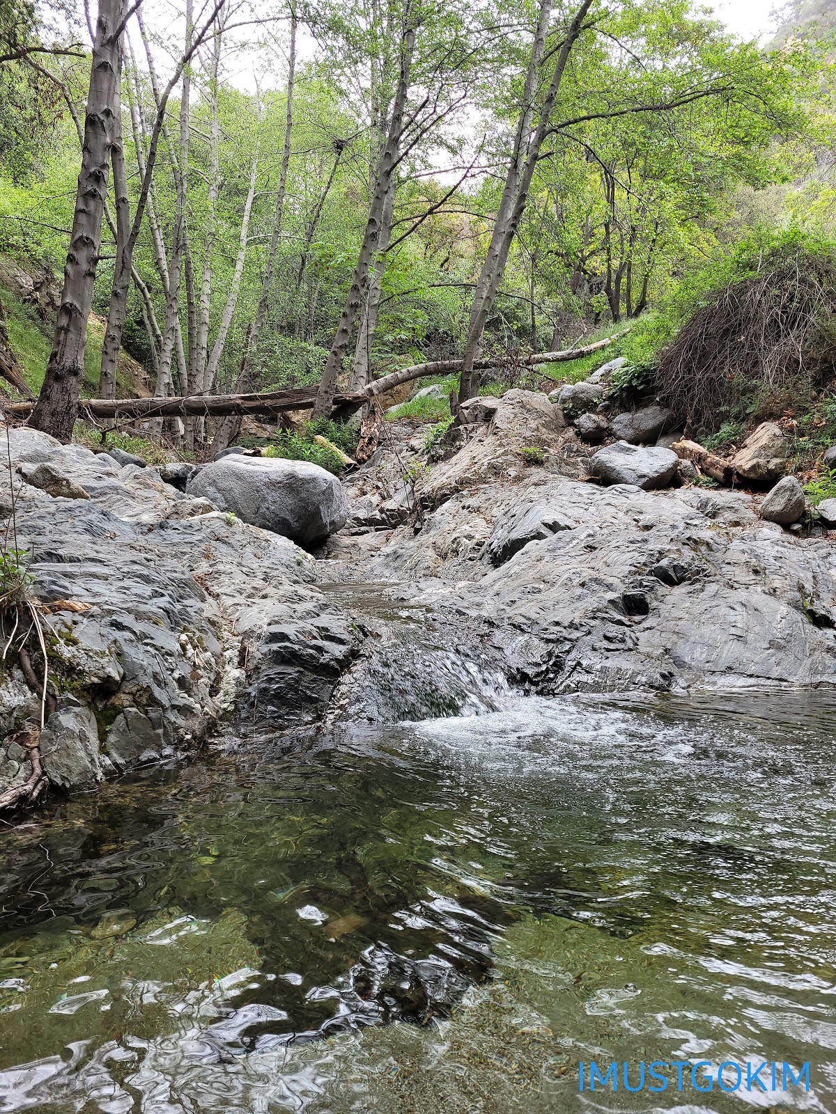 Idlehour Trail Campground