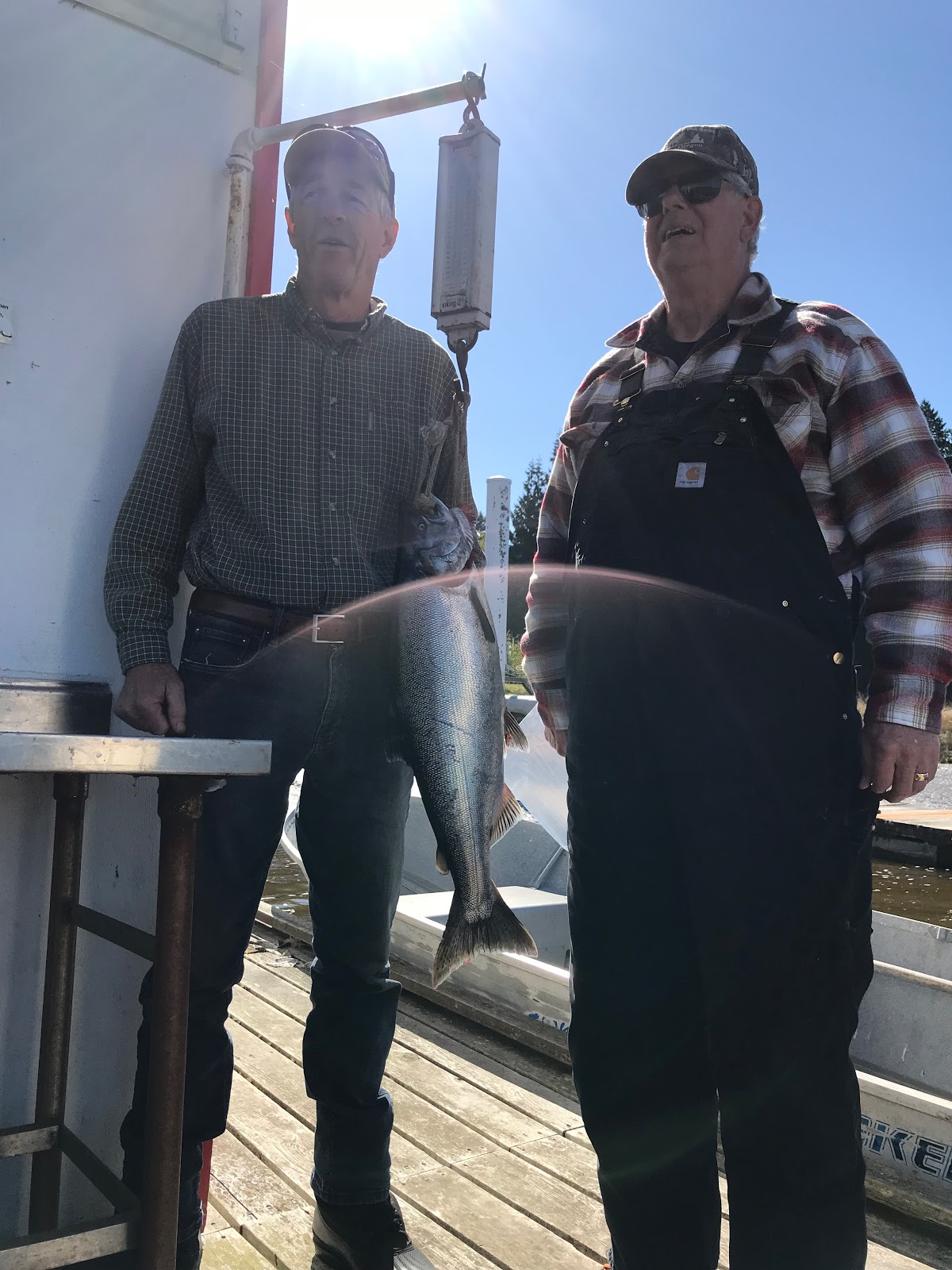 Alsea River RV Park & Marina