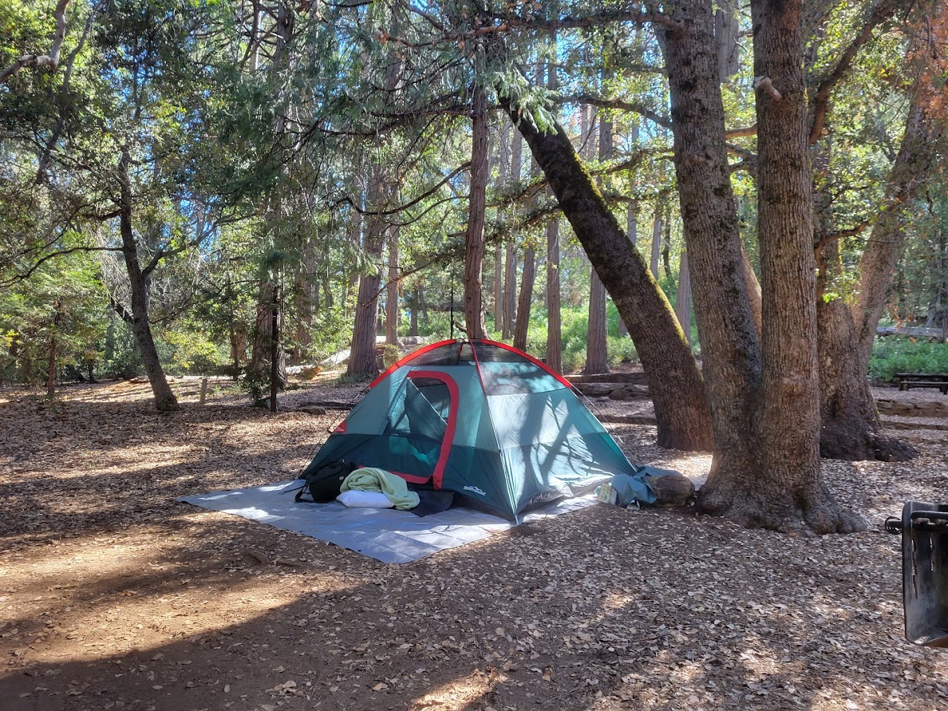 Palomar Mountain State Park