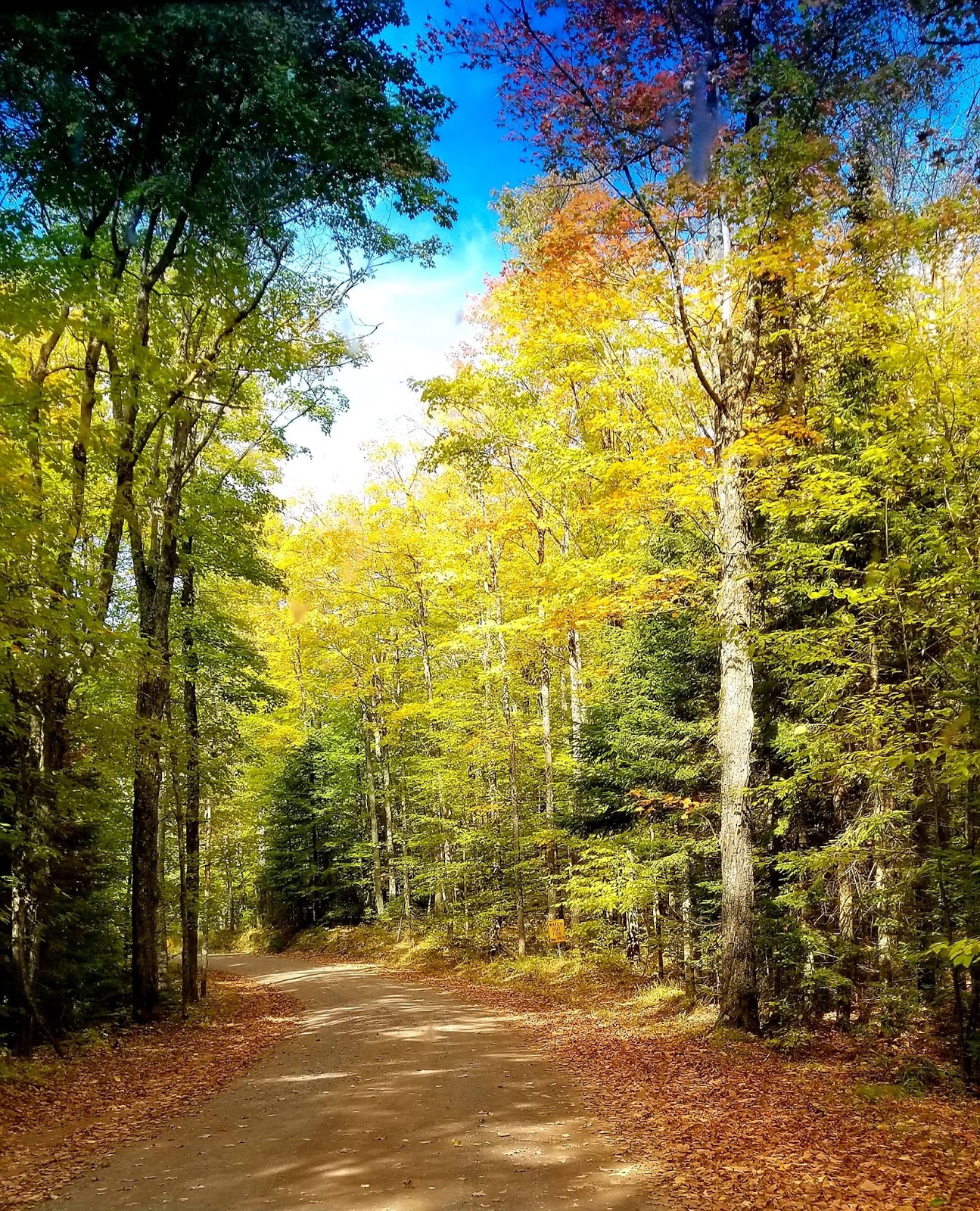 Presque Isle Campground