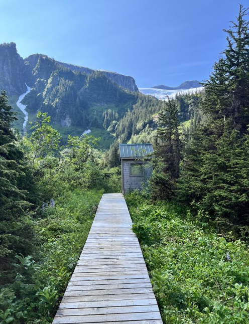 Swan Lake Cabin Petersburg