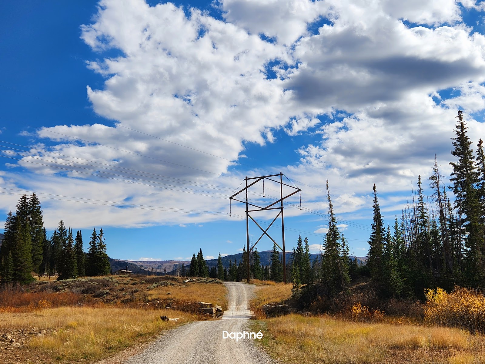 Potters Pond Campground