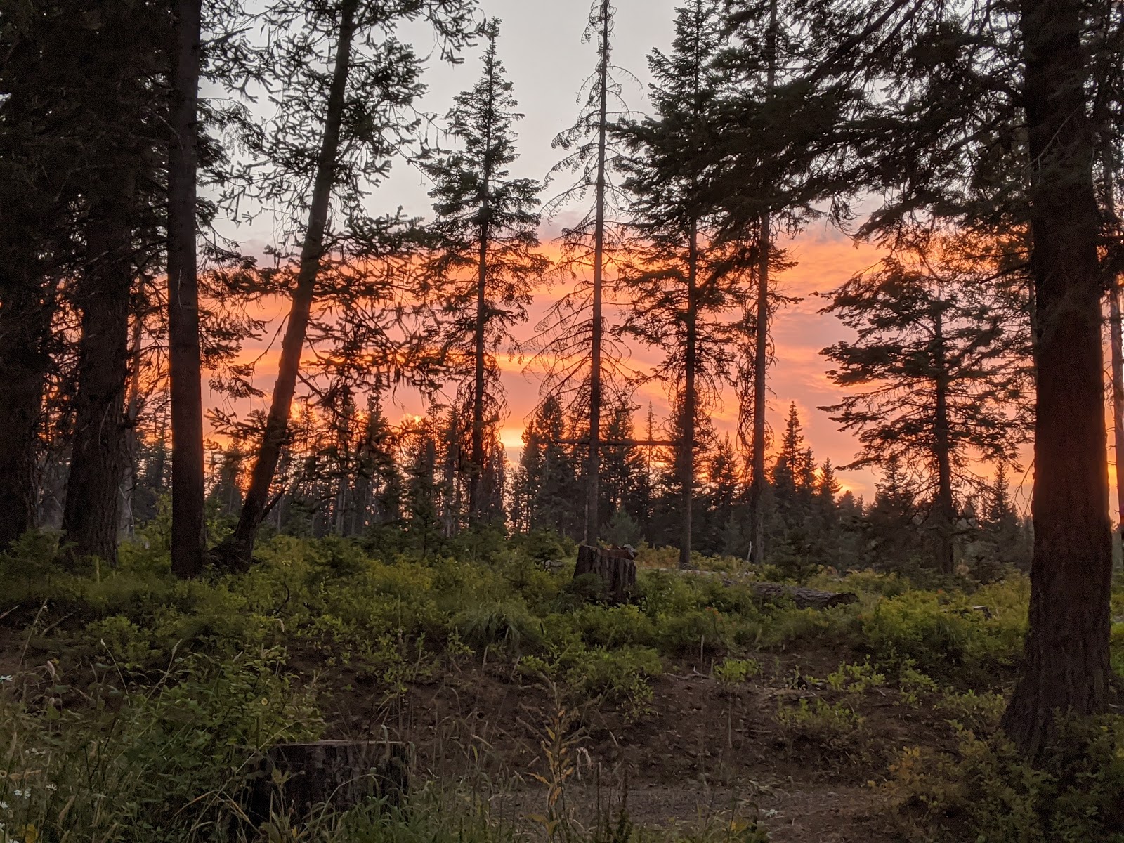 Adams Ranger Station