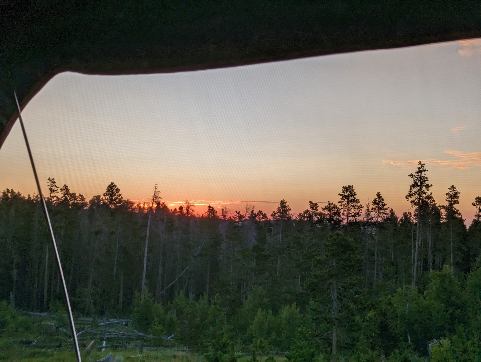 Yellow Pine Campground